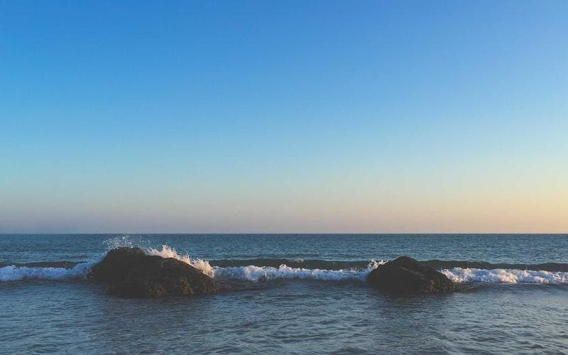 Nit de monolegs Albal