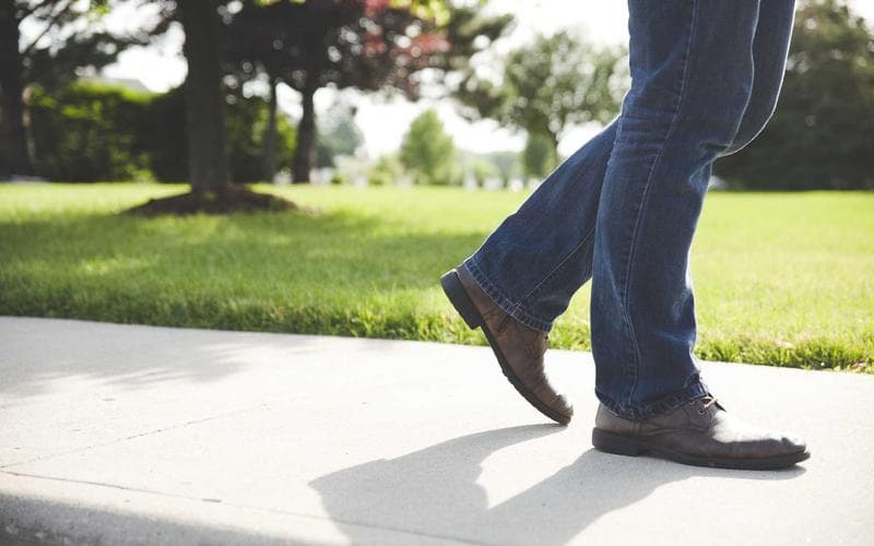 Tardeo musical a Alberic