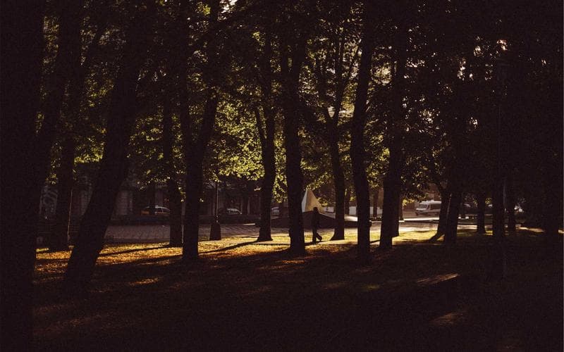 Mostra cultural de Alberic