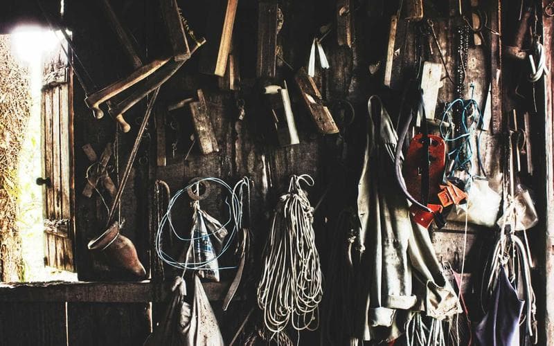 Mostra cultural de Alberic