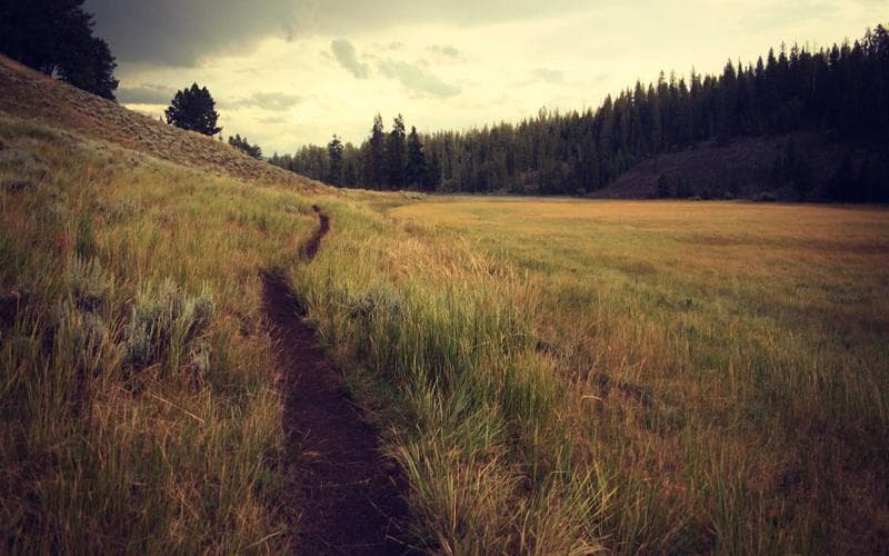 Open de padel Alfafar