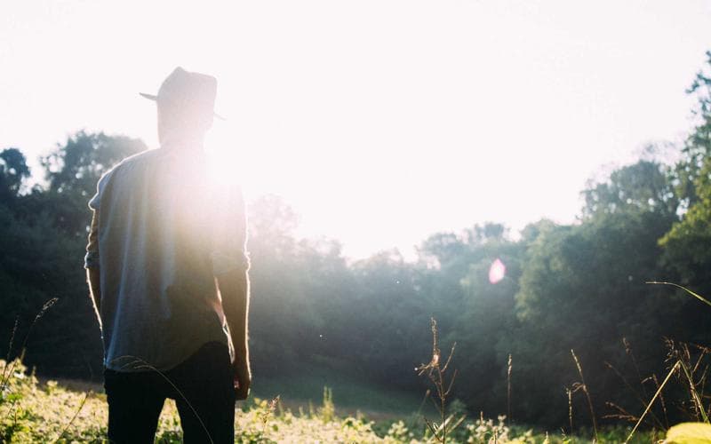 Mostra cultural de Algemesi