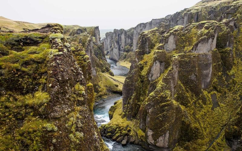 Tardeo musical a Algemesí