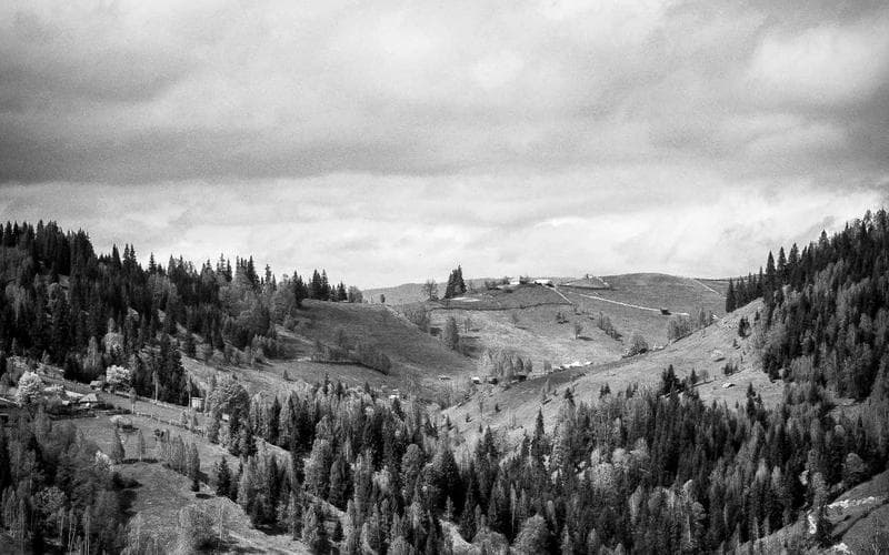 Mostra cultural de Algemesí