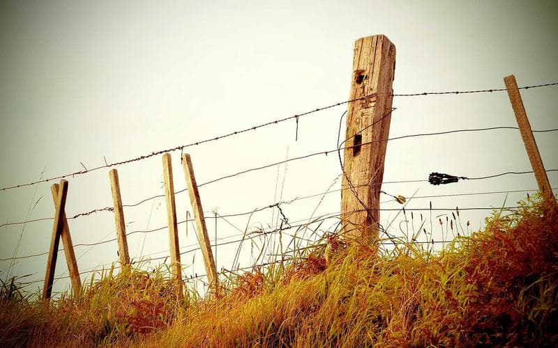 Teatre del cap de setmana a Alzira