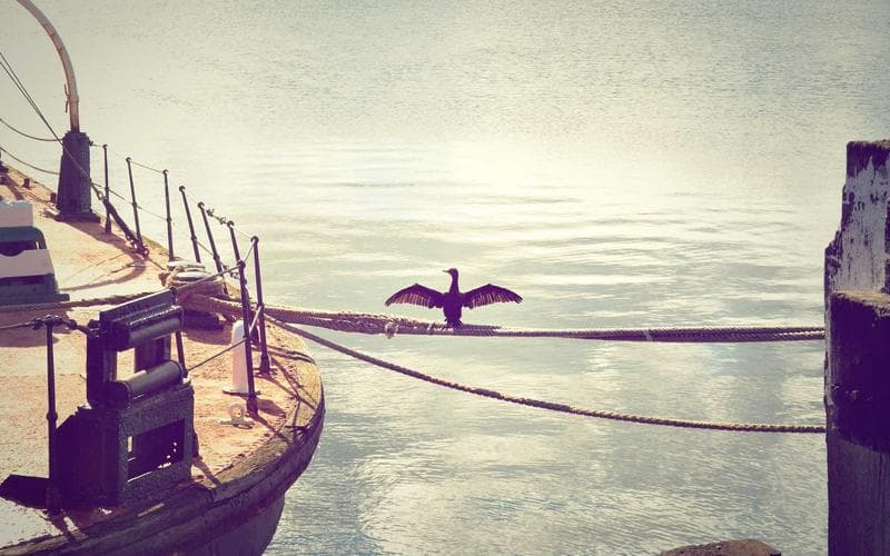 Partit del senior de Alzira: Basket Alzira vs Alberic (Jornada 3)