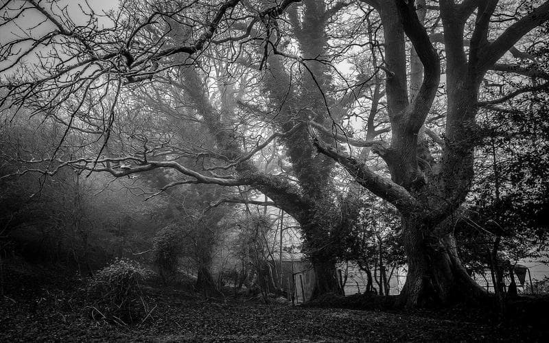 Cinema de barri a Alzira