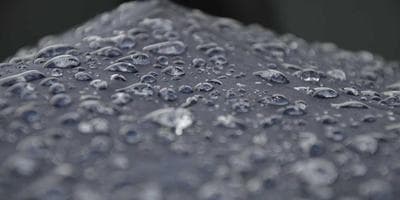 Cine: Estreno Animación