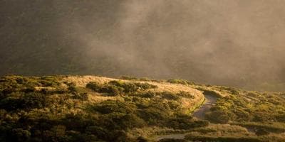Partido de Bádminton