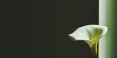 Partido de Balonmano