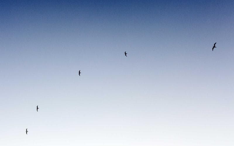 Nit de rock Benetusser