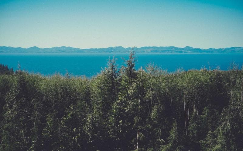 Ruta gastronòmica de Benifaió