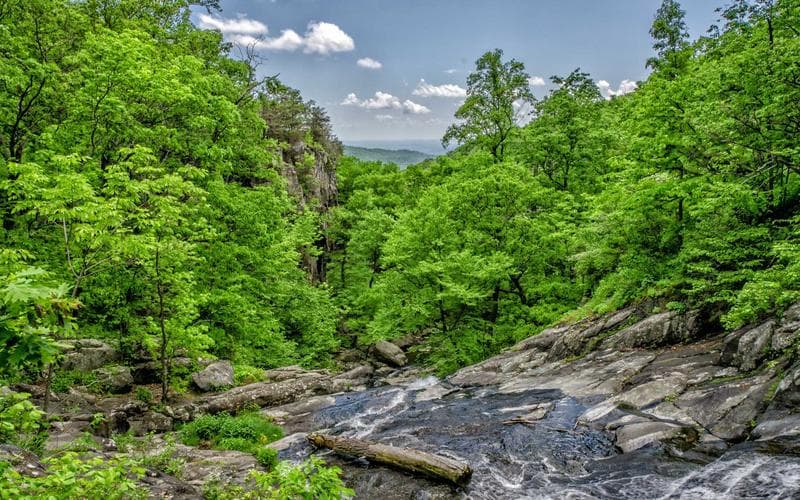 Ruta gastronòmica de Benifaió