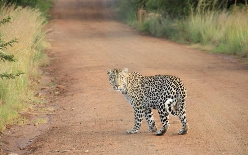Teatre del cap de setmana a Benifaió