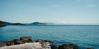 Obra: La Vida es Sueño