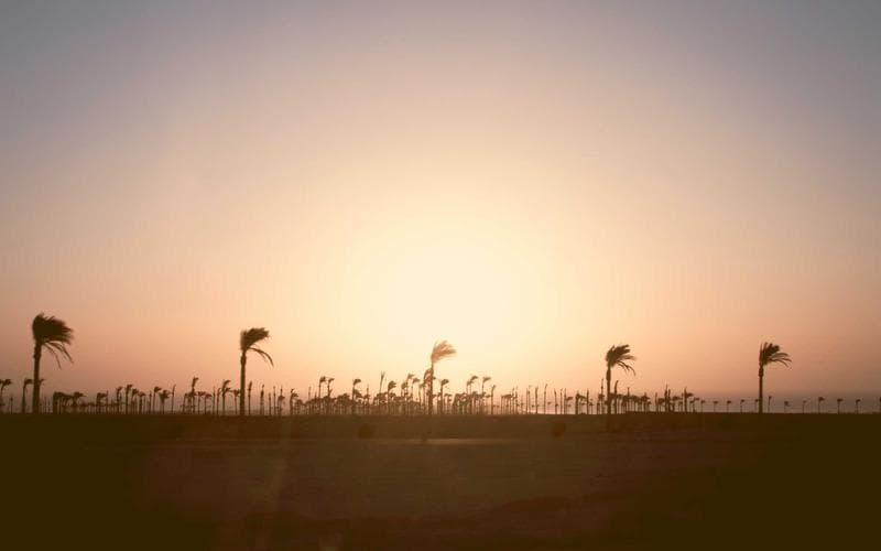 Tardeo musical a Carlet