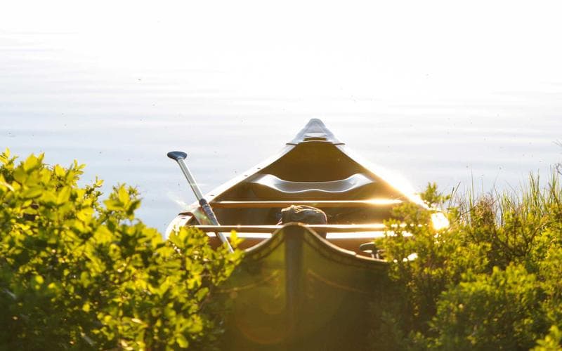 Fira gastronòmica Catarroja