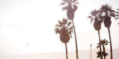 Obra Comedia: El Virus