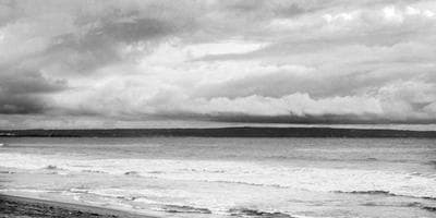 Noche de Copas + Música en Vivo