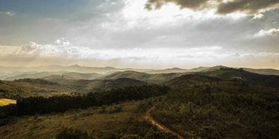 Cine: Festival de Cortos