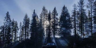 Torneo de Videojuegos