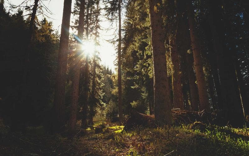 Torneig tenis Godella