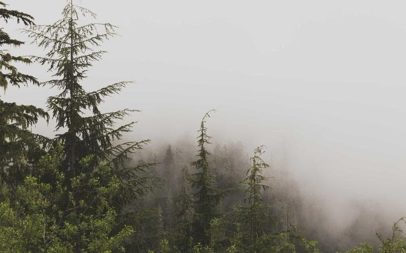 Mostra cultural de Guadassuar