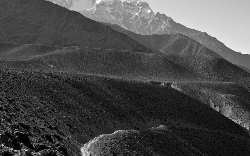 Ruta gastronòmica de Guadassuar