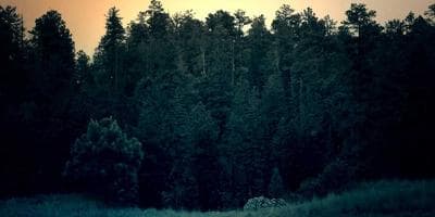 Noche de Improvisación Teatral