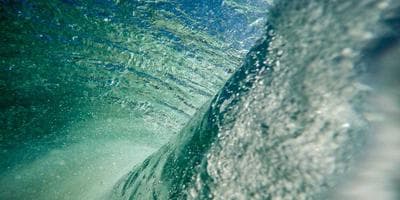 Muestra de Cine Independiente