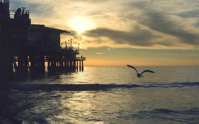 Partit del senior de L'Alcudia: Balonmano L'Alcudia vs Carcaixent (Jornada 2)