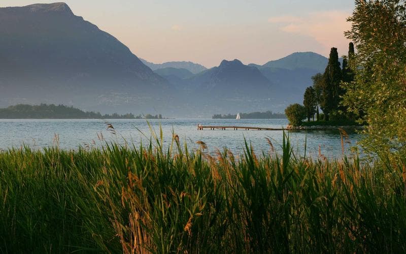 Ruta gastronòmica de L'Alcudia