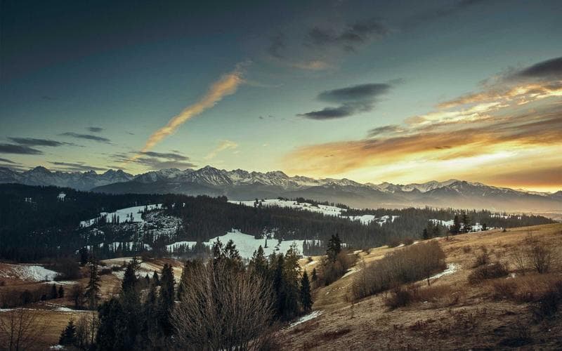 Cinema de barri a L'Alcudia