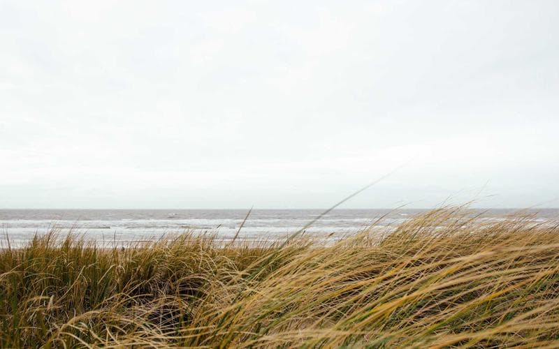 Mostra cultural de L'Alcudia