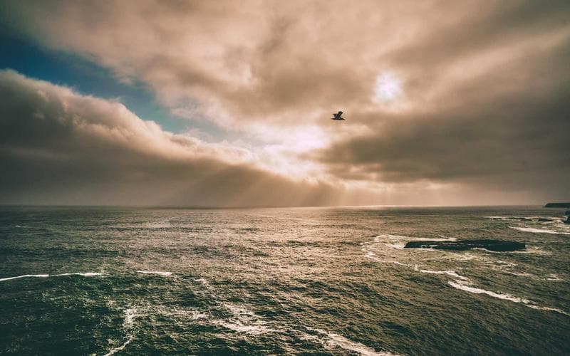 Concert en directe a Manuel