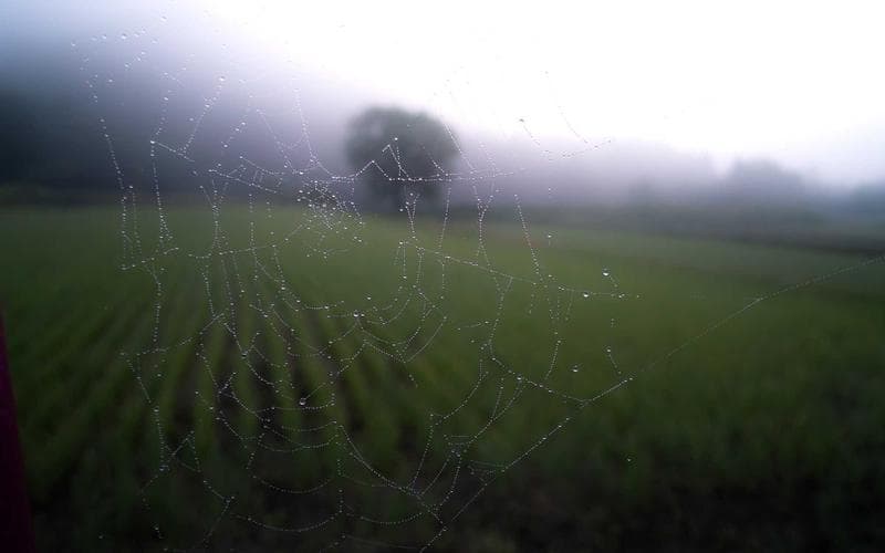 Partit del senior de Manuel: Balonmano Manuel vs Carcaixent (Jornada 2)