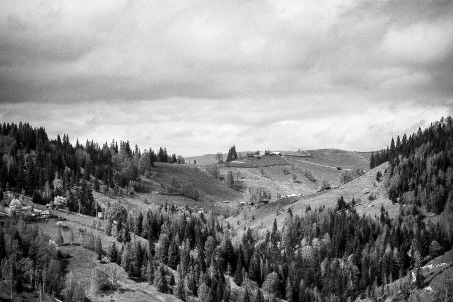 Restaurant Manuel Cuina 1