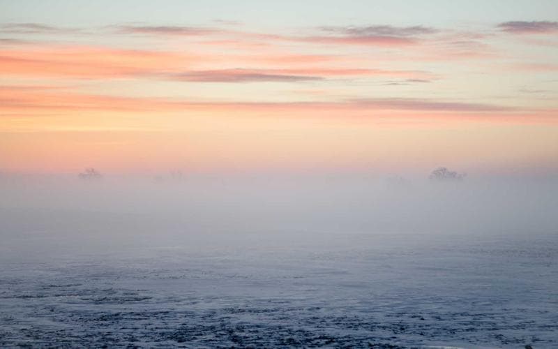 Exposicio pintura Massanassa