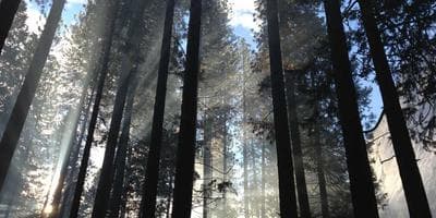 Mercado Gastronómico
