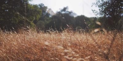 Mercado de Oportunidades