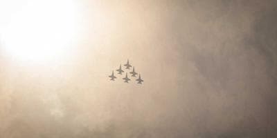 Exposición: Arte y Naturaleza