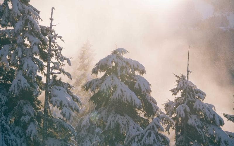 Nit electrònica Picanya