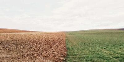 Concierto de Rock: Mago de Oz