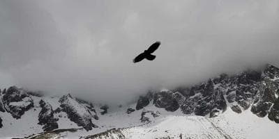 Exposición: Fotografía Submarina