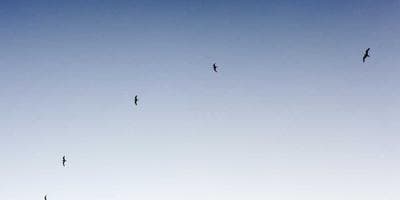 Noche de Cerveza y Tapas