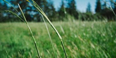 Obra: Ghost el Musical