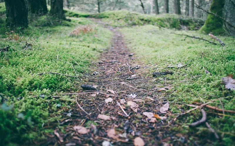 Partit del senior de Vilanova de Castelló: Balonmano Vilanova de Castelló vs Carcaixent (Jornada 2)