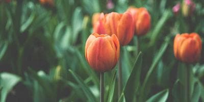 Mercado de Segunda Mano