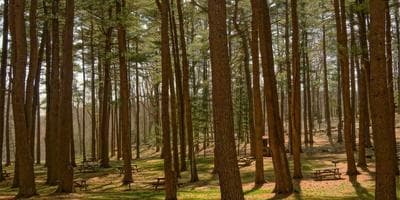 Partido de Waterpolo Playero