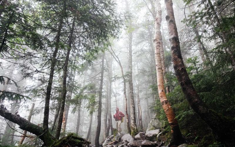 Partit del senior de Xàtiva: Volei Xàtiva vs Algemesí (Jornada 1)